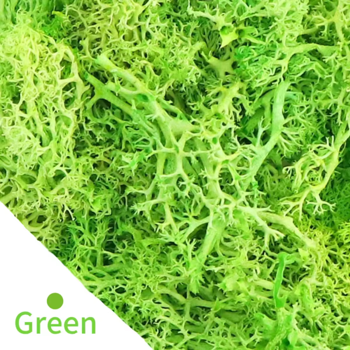Simulation de mousse verte naturelle, 20/200g, plantes de vie éternelle, décoration murale pour la m