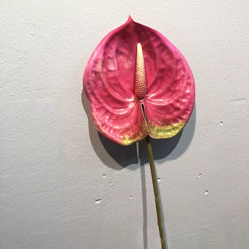 Plantes Artificielles à Tige Unique, Simulation de Fleurs d'Urium, Vrai Toucher, PU, Palmier d'Oie R