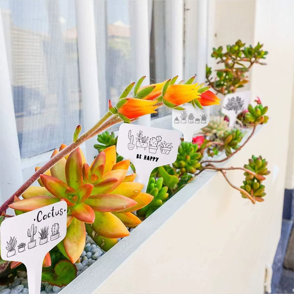Marqueurs de plantes blancs en forme de T en Pvc, 100 pièces, étiquette de sol de jardinage en pot d