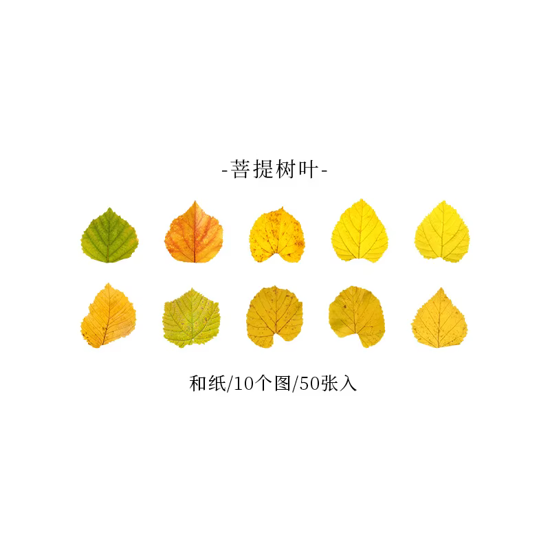 Série de feuilles d'automne jaunes 50 pièces, autocollants de plantes créatifs pour la décoration de