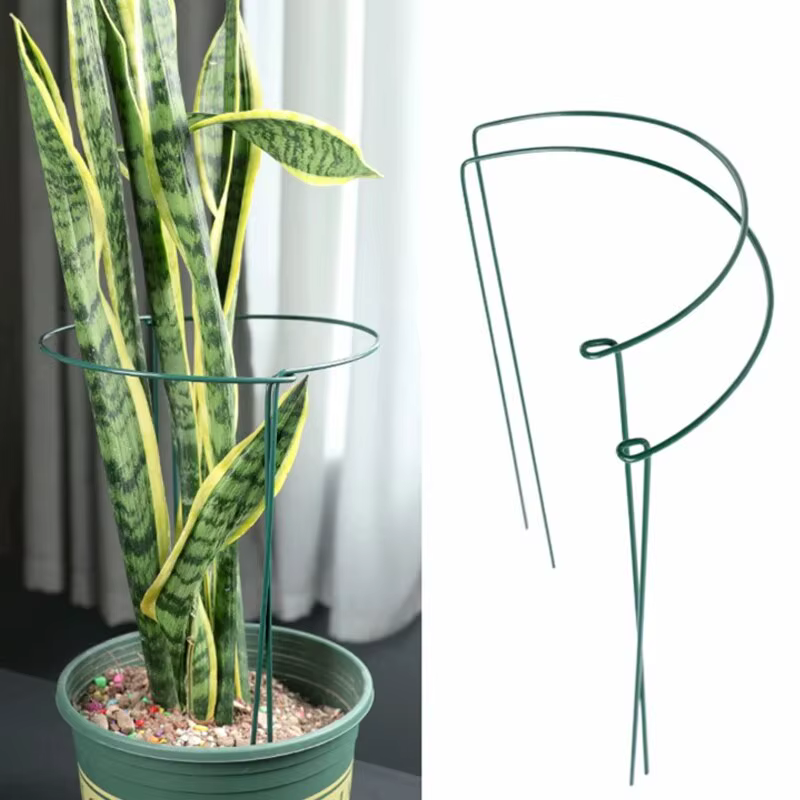 Piquets de Support pour plantes hautes, 6 pièces, Cage semi-ronde en métal pour plantes de jardin et
