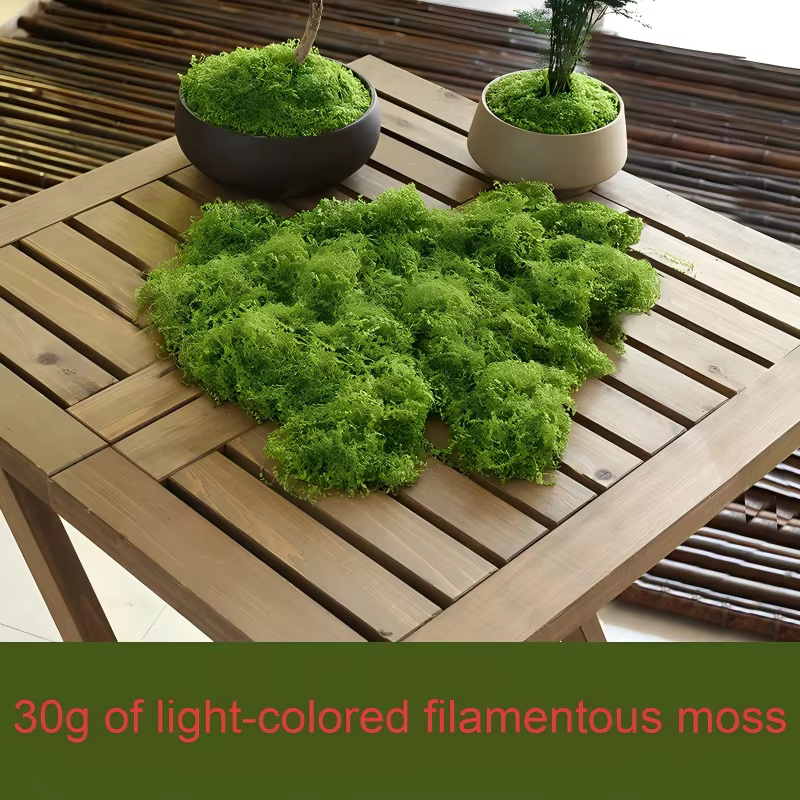 30/50/100g plantes vertes artificielles mousse herbe maison salon jardin décoration Mini paysage fau