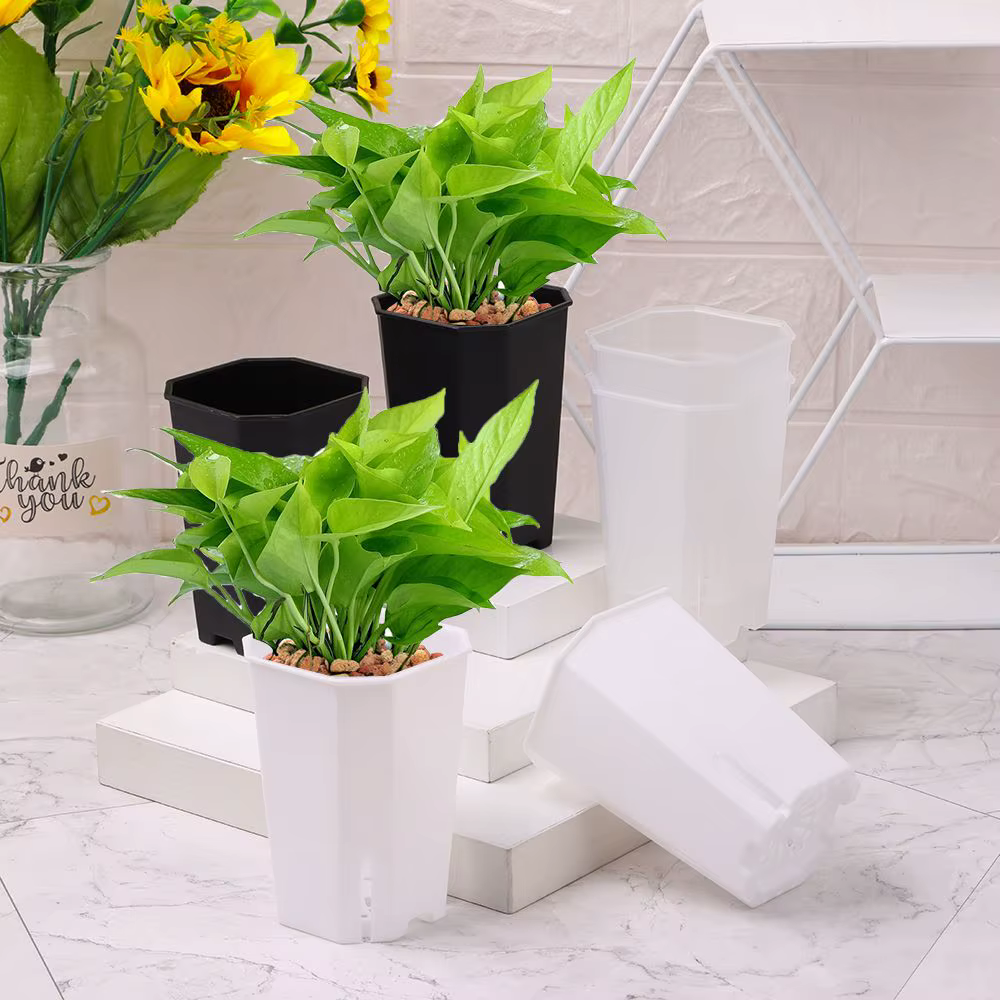 Pots de fleurs en plastique octogonaux, carrés décoratifs, plantes en pot, Vientiane, ouverture laté