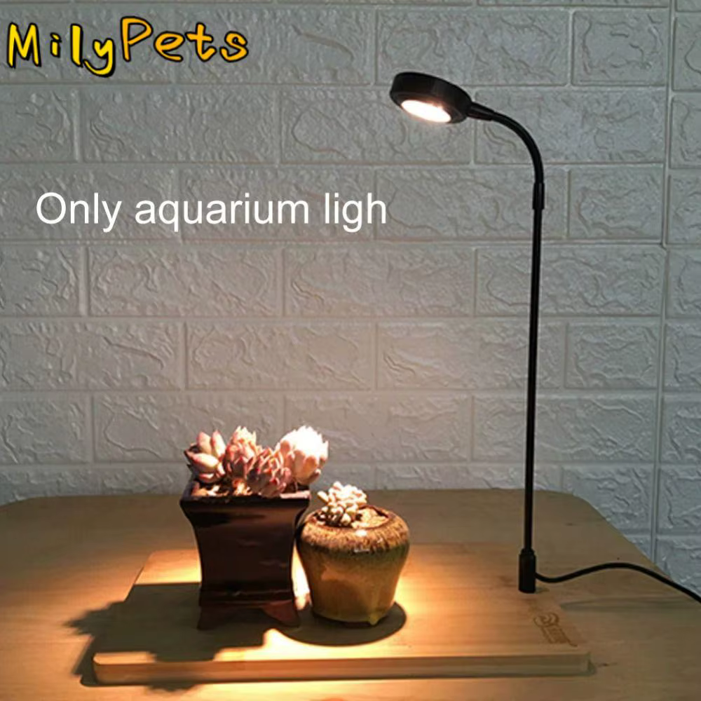 Lampe de remplissage de plantes d'aquarium 10W avec panneau de bois lumière LED lumière d'aquarium L