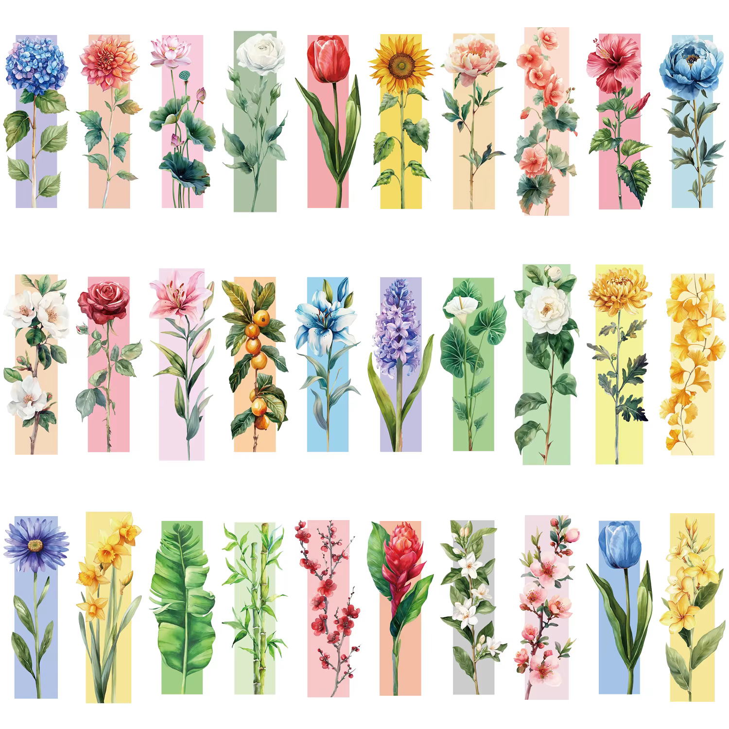 Marque-pages de fleurs, 30 pièces, marque-pages de lecture, marque-pages de livre de lecture, plante