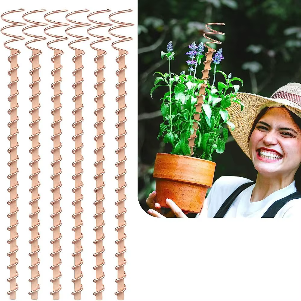 Piquets de plantes d'électro-culture bonsaï en cuivre, fil de bobine en bois, nouvelle bobine de cui
