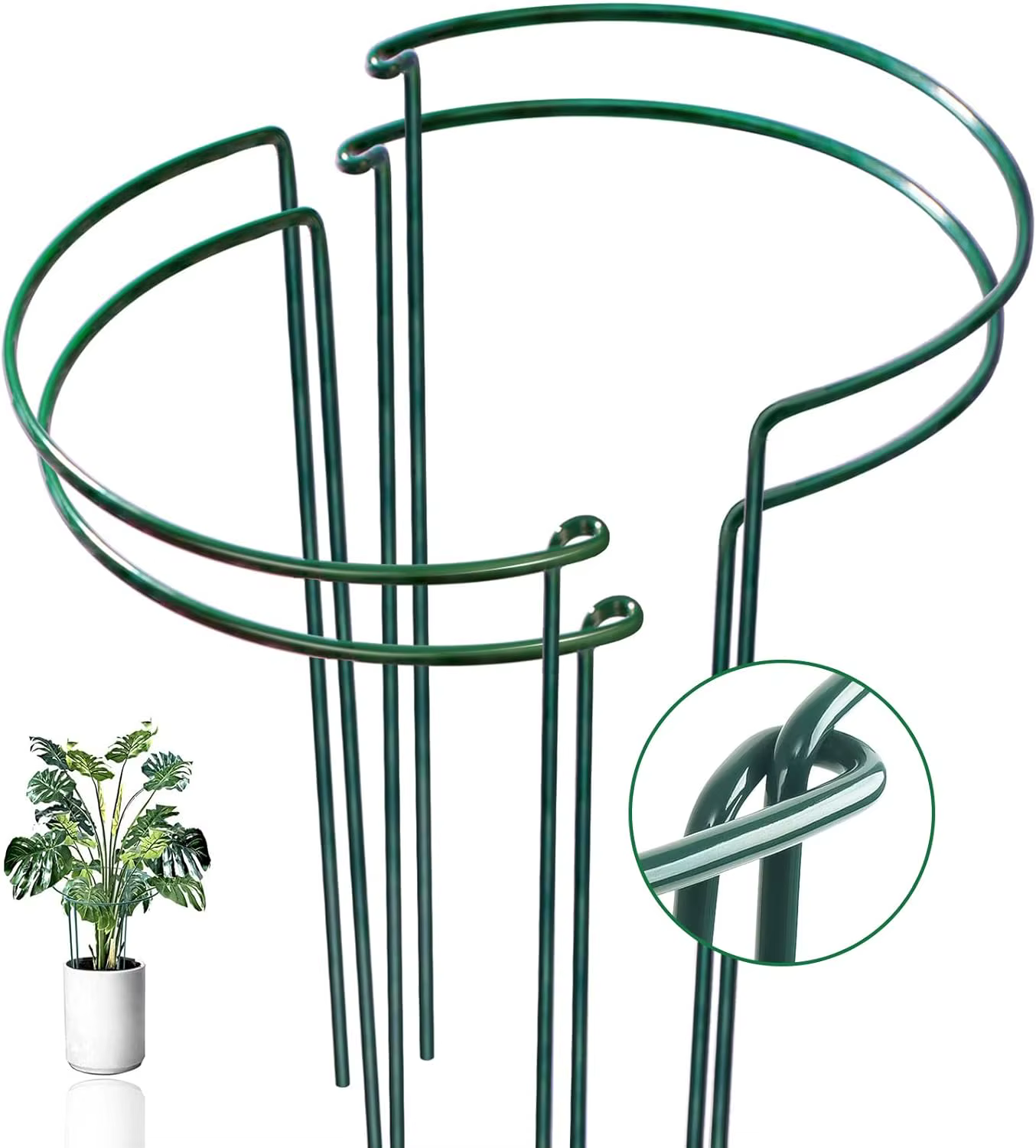 Support de treillis métallique semi-circulaire 35 cm (6-12 pièces) pour plantes d'intérieur, pivoine