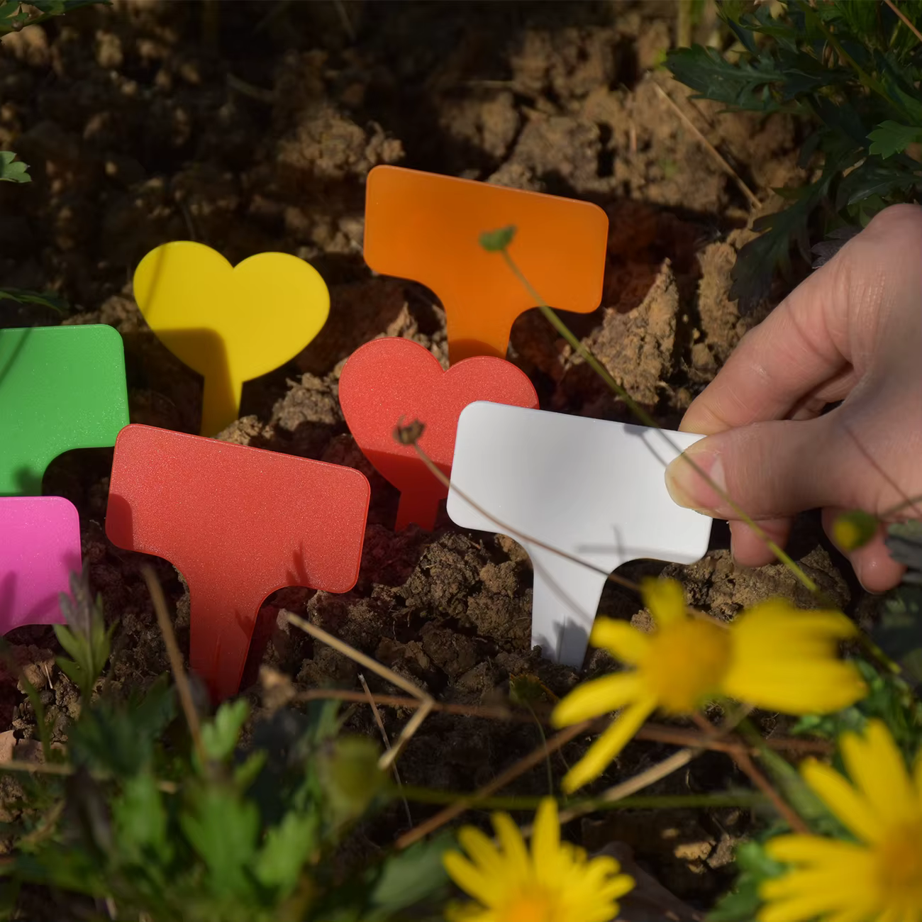 Lot de 20 marqueurs pour plantes, étiquettes en plastique imperméables, bâtons de peinture de jardin