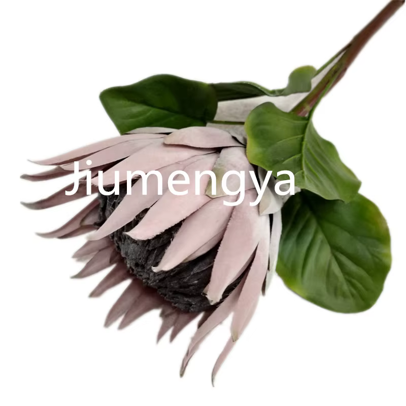 InjProtea-Branche de Fleur Artificielle de Cyovale oides, Grand Effet Flocage, Tige Protea