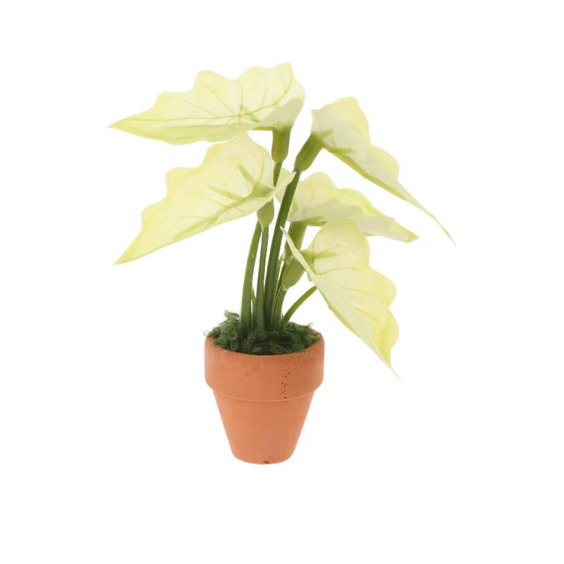 Miniature Plante en Pot Taro Vert 'Turtle Back' pour Maison de Poupées, Modèle de Plante Verte Minia