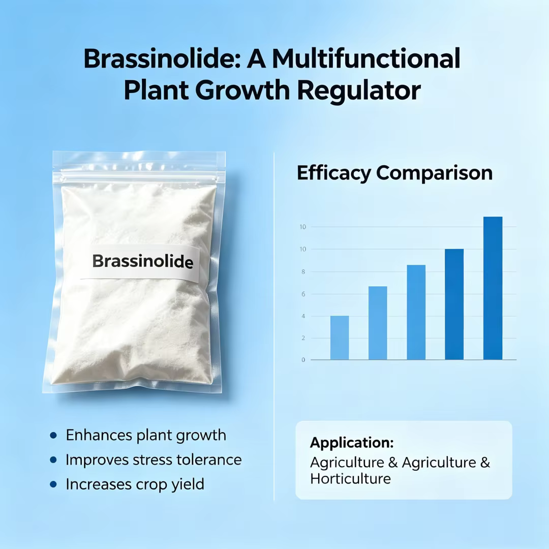 Brassinolide Régulateur de croissance des plantes Engrais organique foliaire