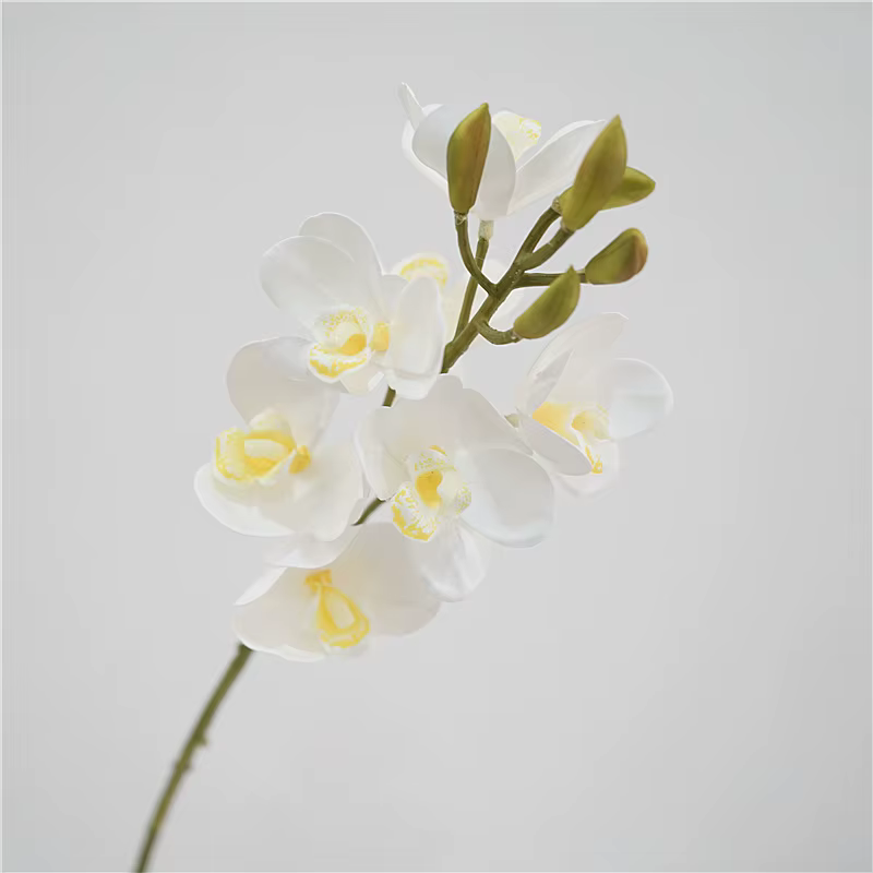 Cymbidium en Latex au Toucher Réel, Fleurs Artificielles pour la Décoration de la Maison, ixde Maria
