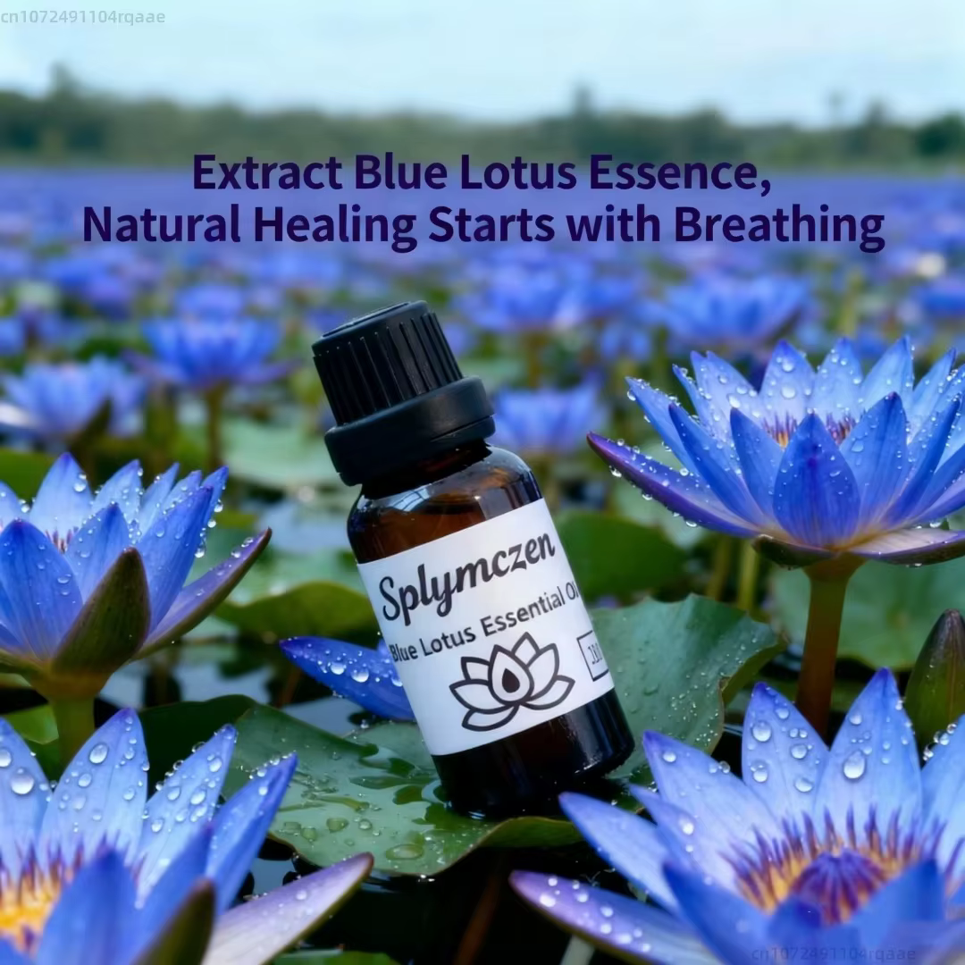 Fleur de Lotus naturelle de haute qualité, 100g, fleurs sèches parfumées, parfum de salle, décor d'a