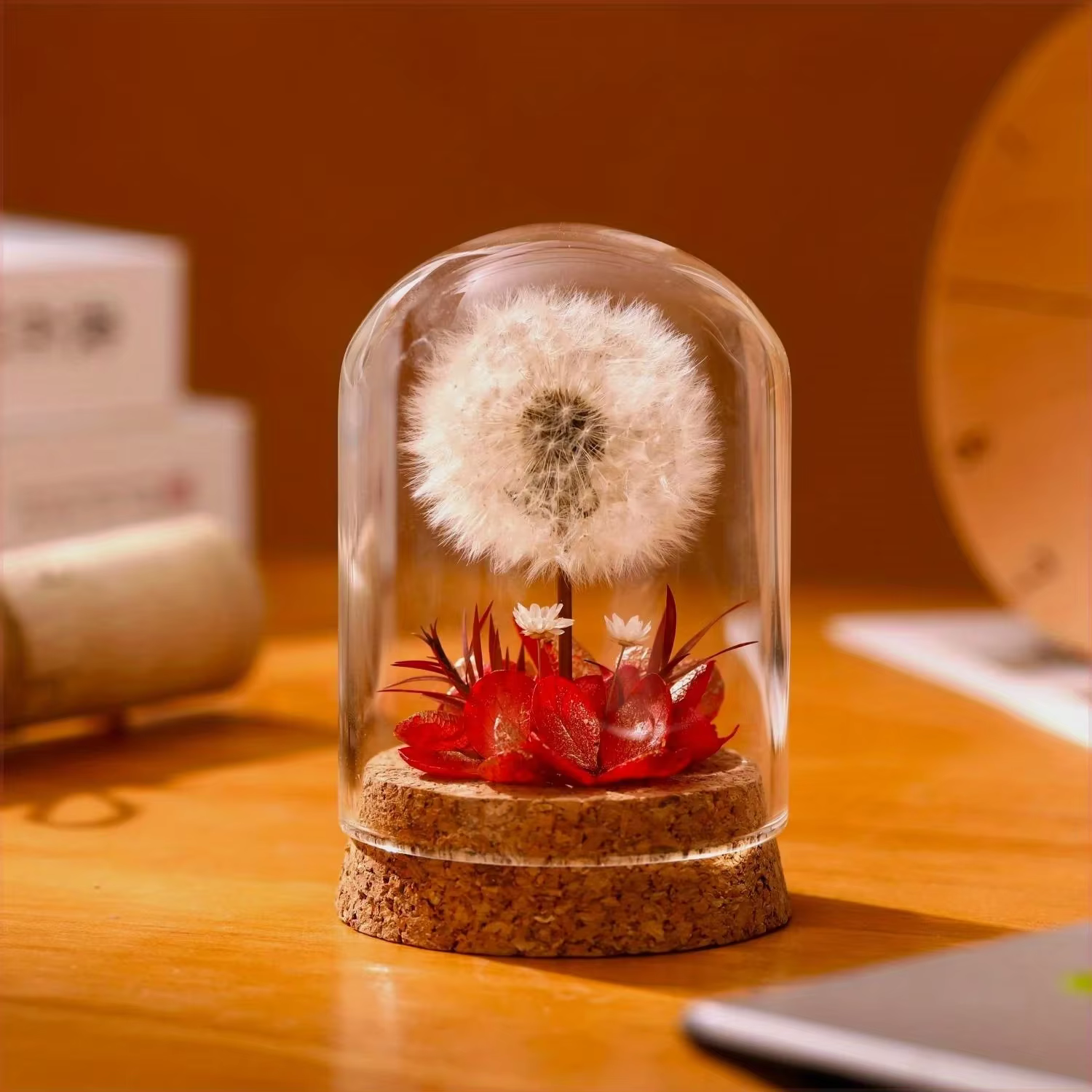 Bouquet de pissenlit séché pour décoration de bureau, fleurs conservées, cadeau d'anniversaire et bo
