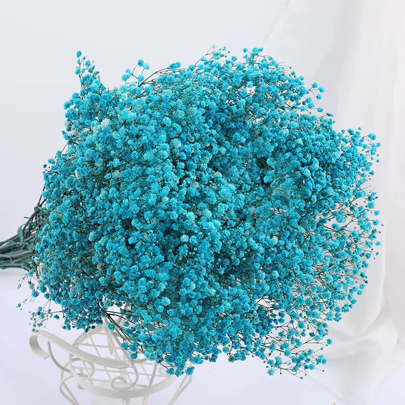 Fleurs d'haleine de bébé conservées de qualité A, 300 à 1500g, véritable pour toujours, gypsophile é