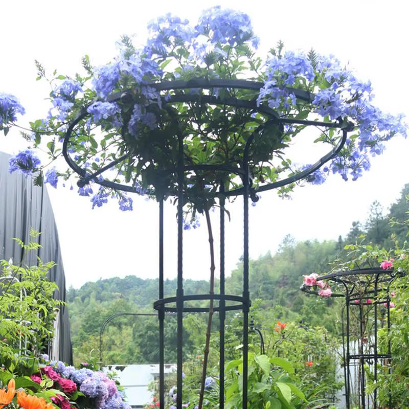 Cadre d'escalade de plantes en métal, treillis de jardin en pot, piquet en fil métallique pour plant