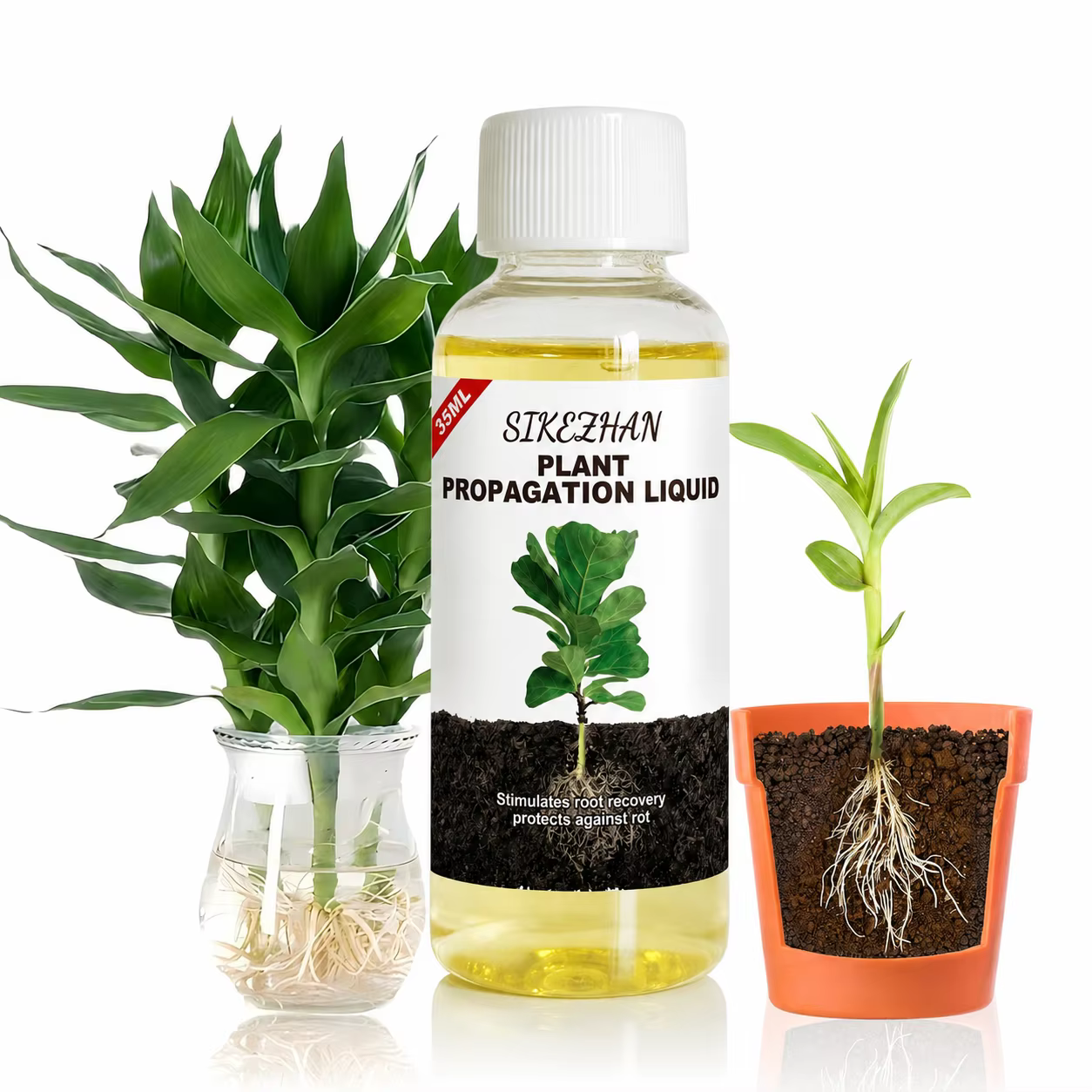 Hormone liquide d'enracinement rapide, solution de propagation végétale haute performance pour une c