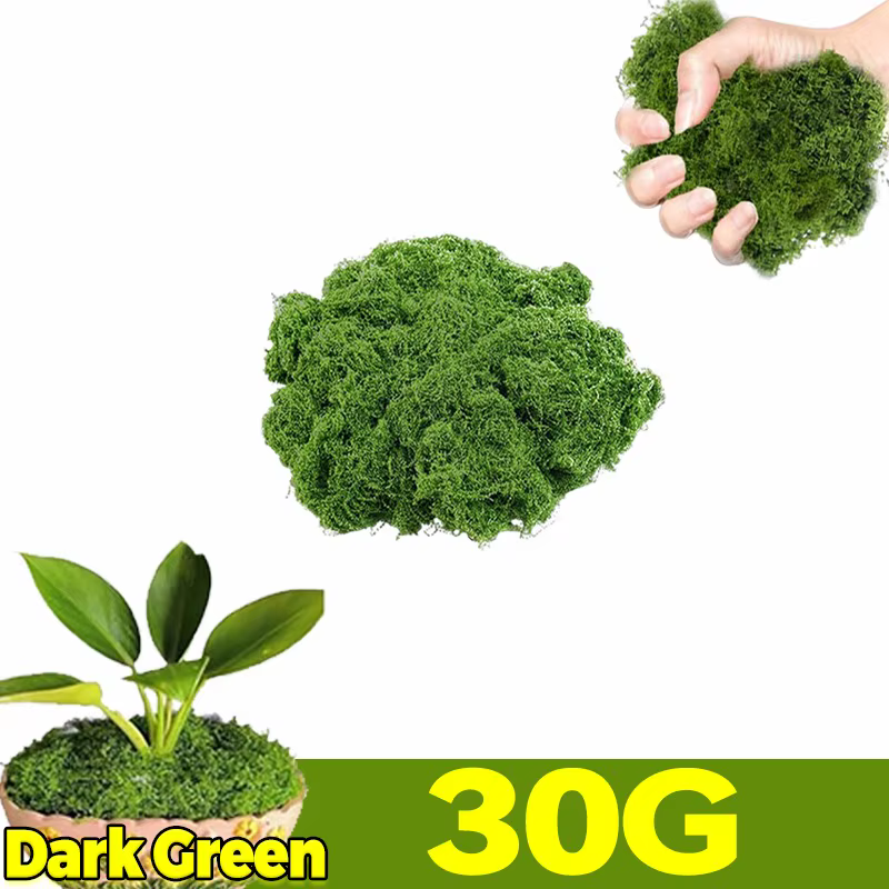 Plantes artificielles en pot de mousse verte, fausses plantes, micro-paysage, aquarium, mousse étern