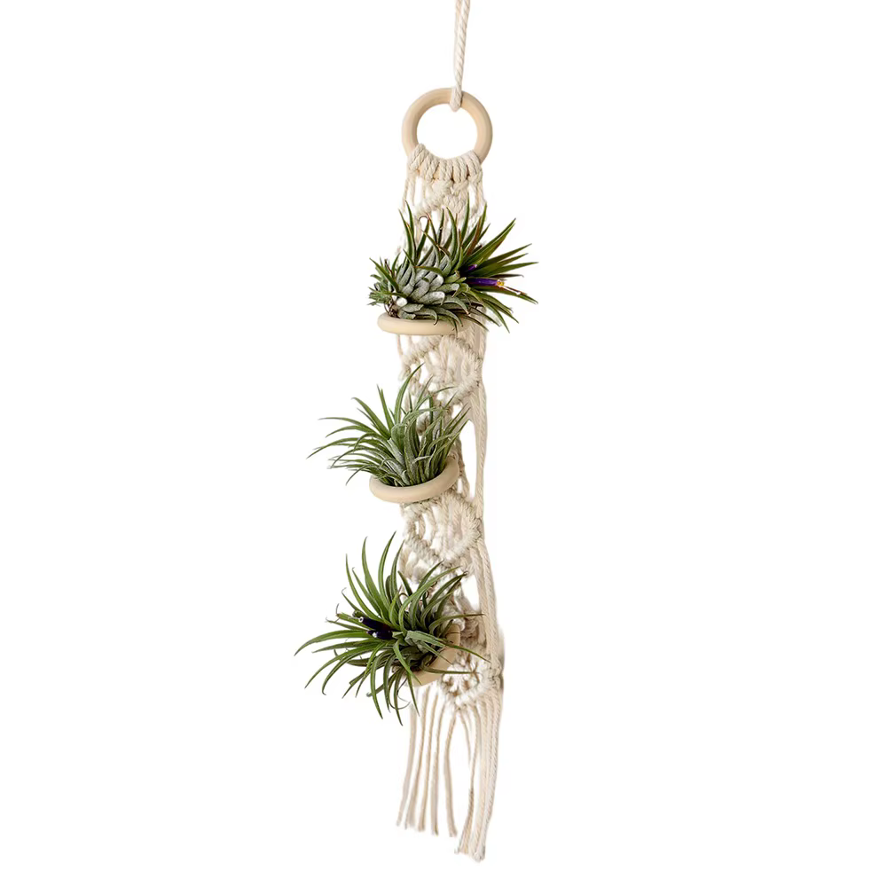 Porte-plantes en macramé pour salon intérieur, balcon, fait main, couleur beige, corde en coton, jar