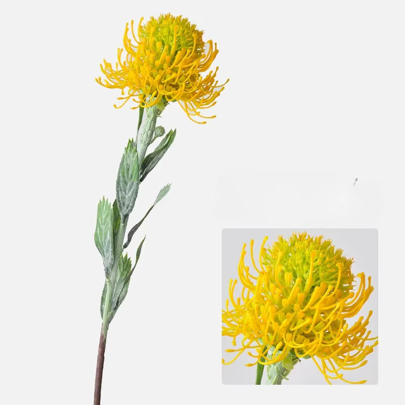 Fleur artificielle sud-africaine pour décoration de mariage, fleur de coussin, bouquet d'accessoires