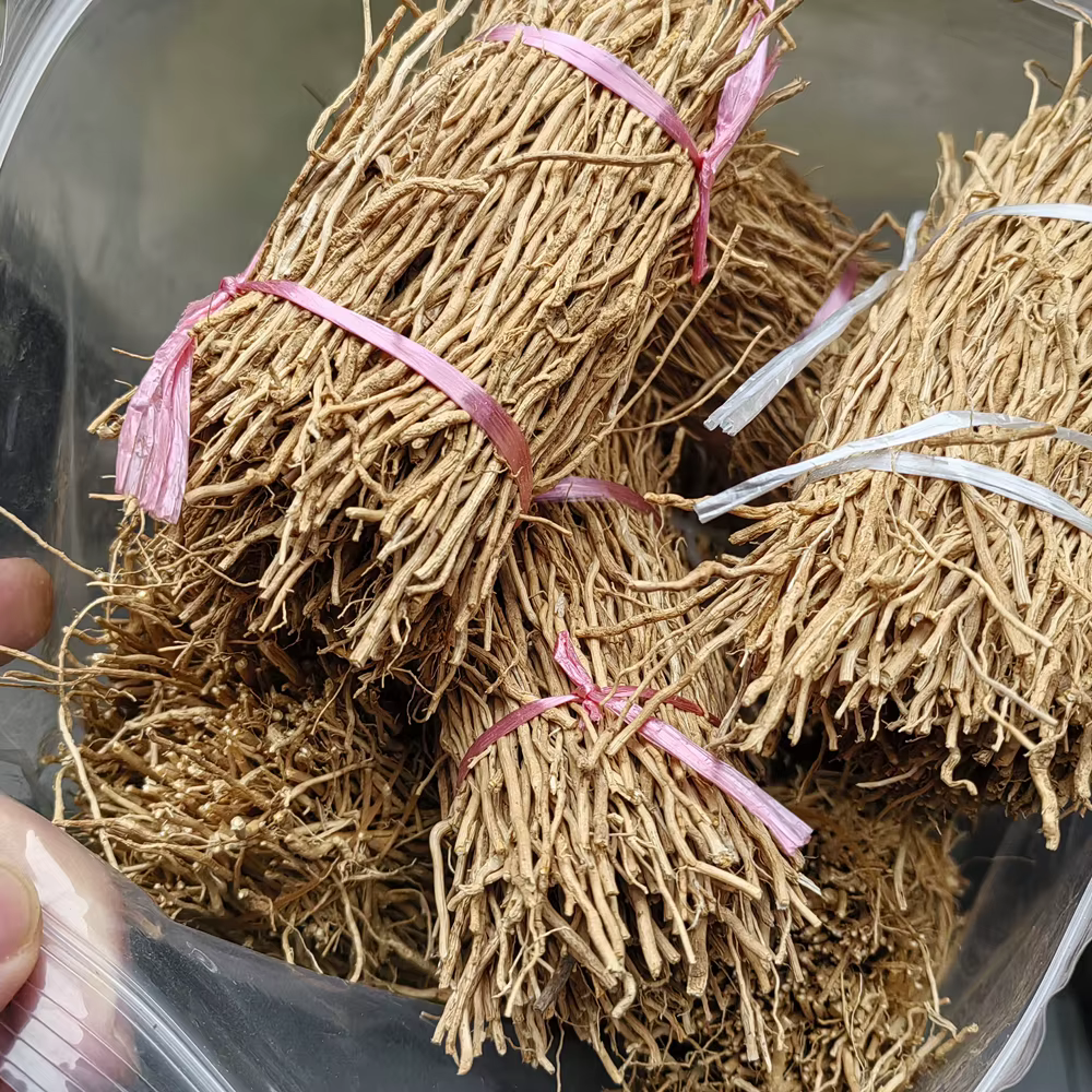 50g VETIVER – Lot de racines parfumées naturelles, herbe de Chrysopogon zizanioides séchée, encens p