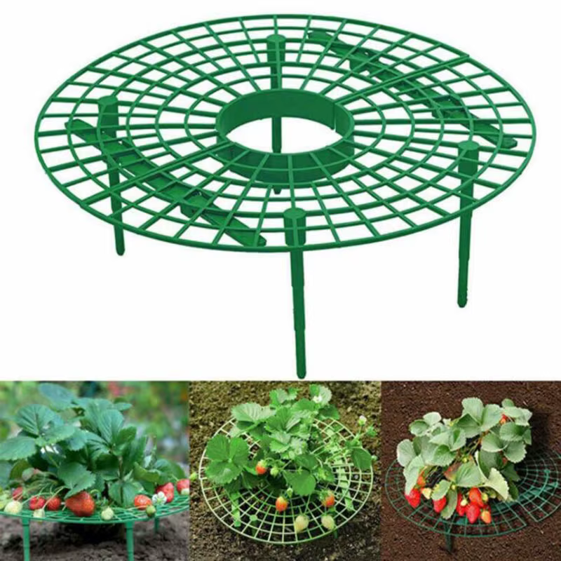 Harvey-Support de cadre de plantation pour plantes et fleurs, pilier de vigne grimpante, support de 