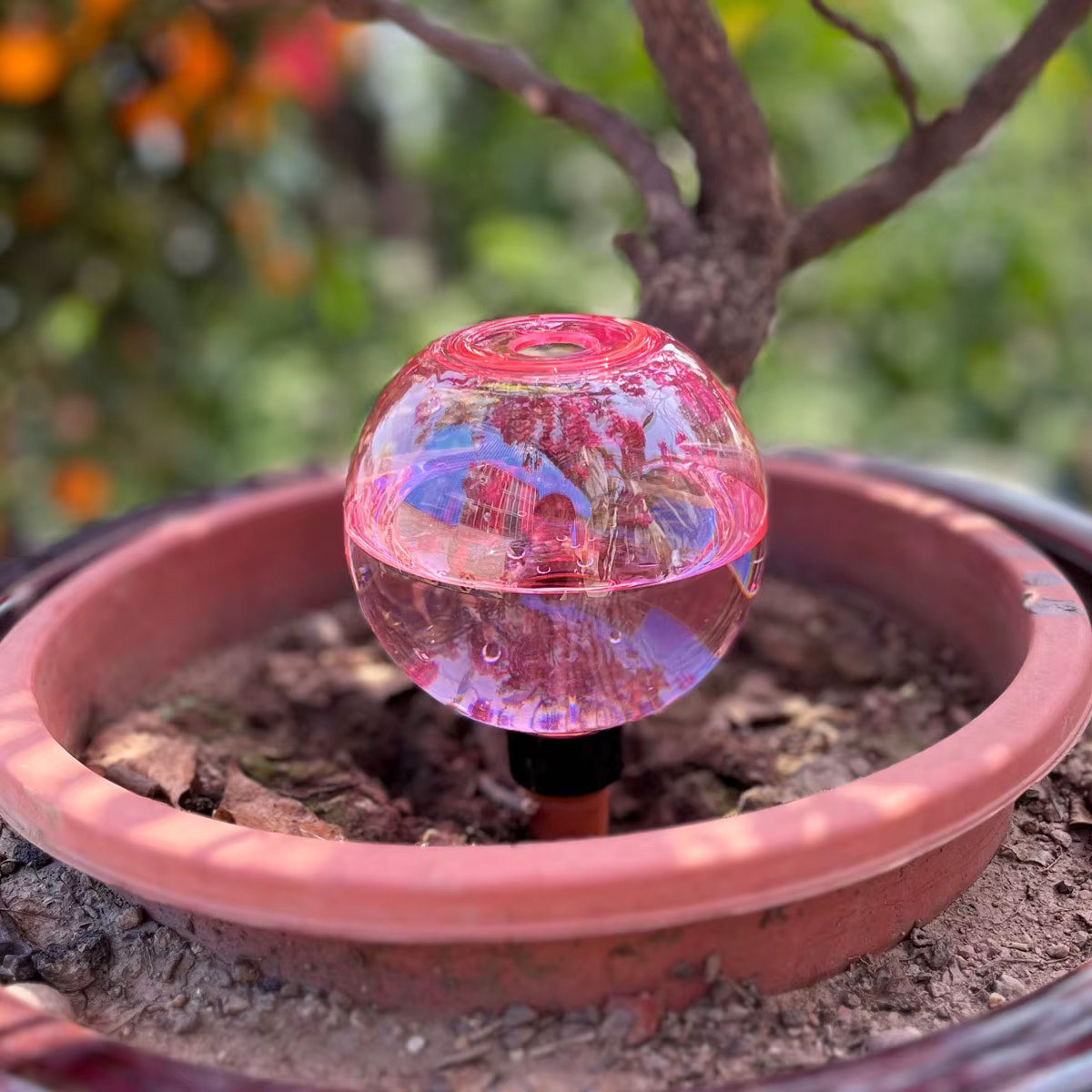 2 boules d'arrosage automatiques pour plantes, boules en plastique pour arrosage automatique, arrose