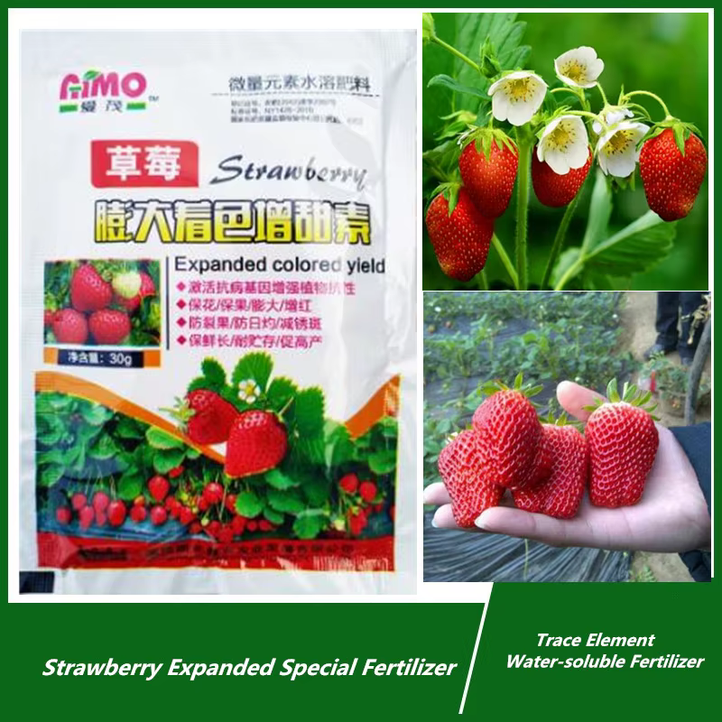 Harvey Expanded Special Browser zer Supplemental Plant Financial Bonsai, Améliorer la qualité et aug