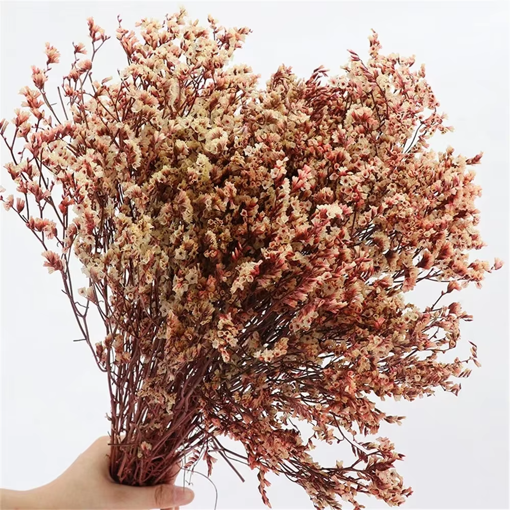 40-50cm, fleurs d'herbe en cristal séchées naturelles, vrais bouquets de fleurs pour toujours, arran