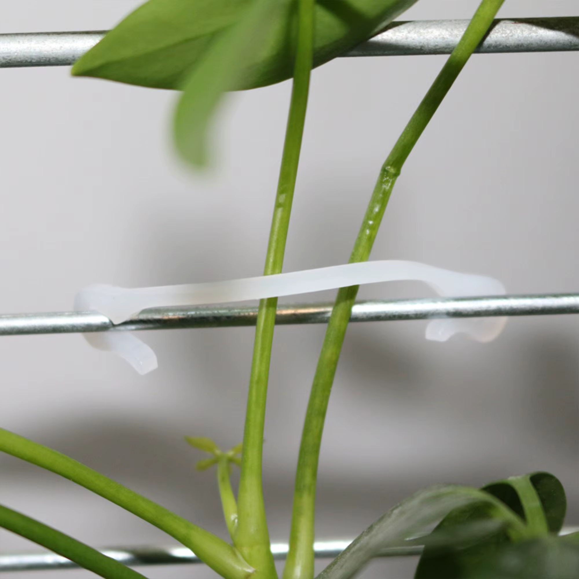 Clip de fixation pour plantes de vigne, 100 pièces, Clip de fixation pour plantes de jardinage, Clip