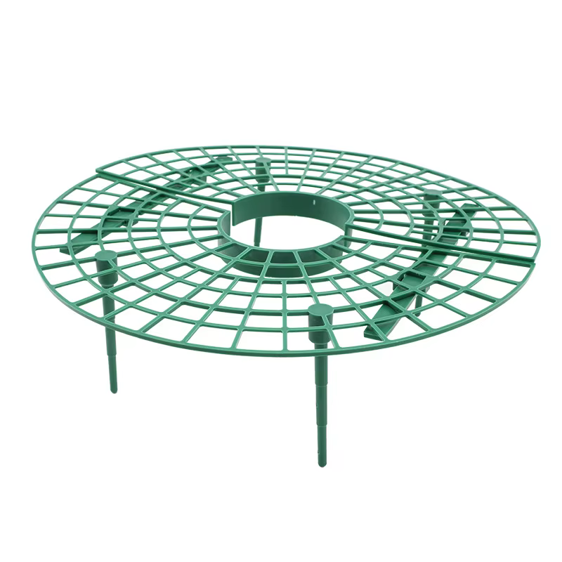 Plateau de plantation de fraises, Support pour plantes vertes, Anti-vertige, assiette de Support pou