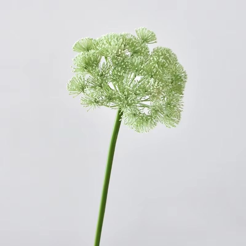 Fleur de pissenlit en dentelle artificielle, plante verte minimaliste moderne, fleur d'oignon, décor