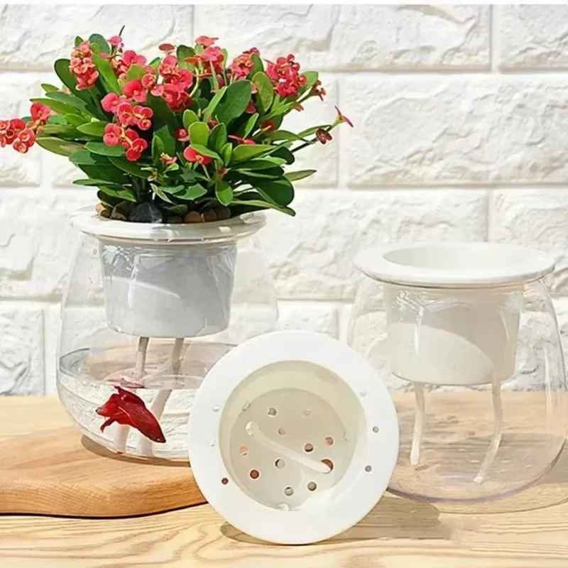 6 pots auto-arrosants, mini pots ronds pour plantes succulentes, pots à fleurs d'intérieur, pots à f