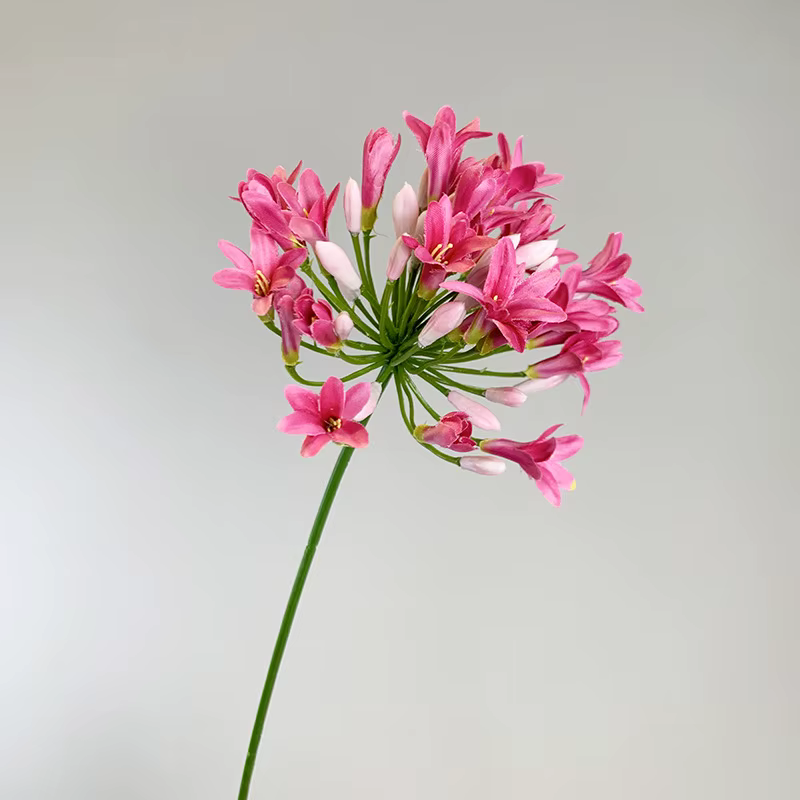 Fleurs artificielles Agapanthus de luxe de 75 cm, longue branche, fausses fleurs Gypsophila, décorat