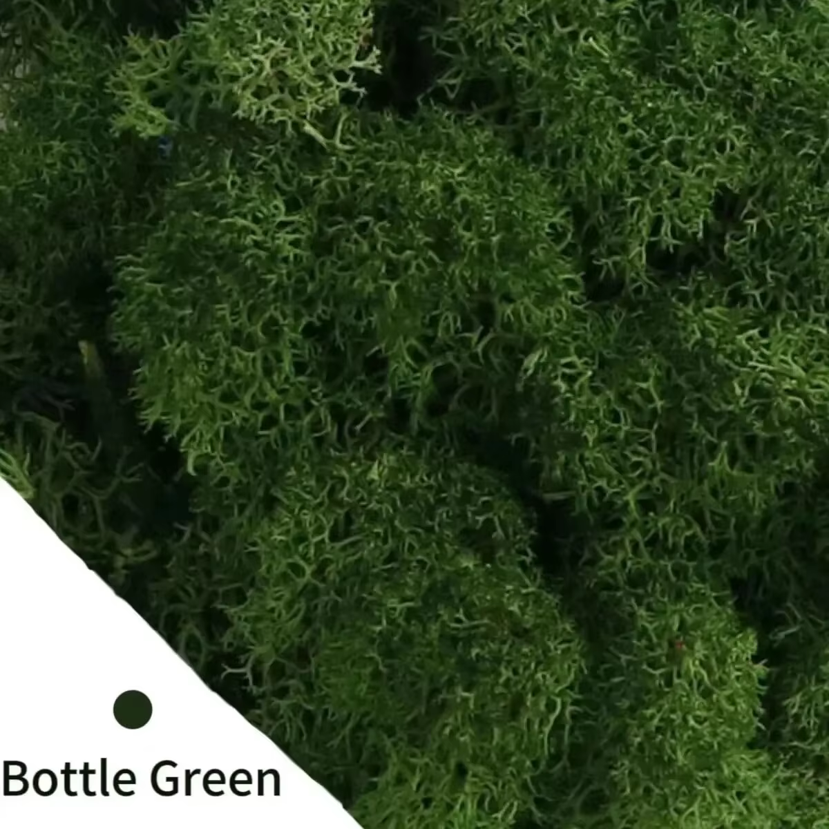 Mousse de vie éternelle, bricolage artisanat, plantes vertes artificielles, décoration de jardin, ma