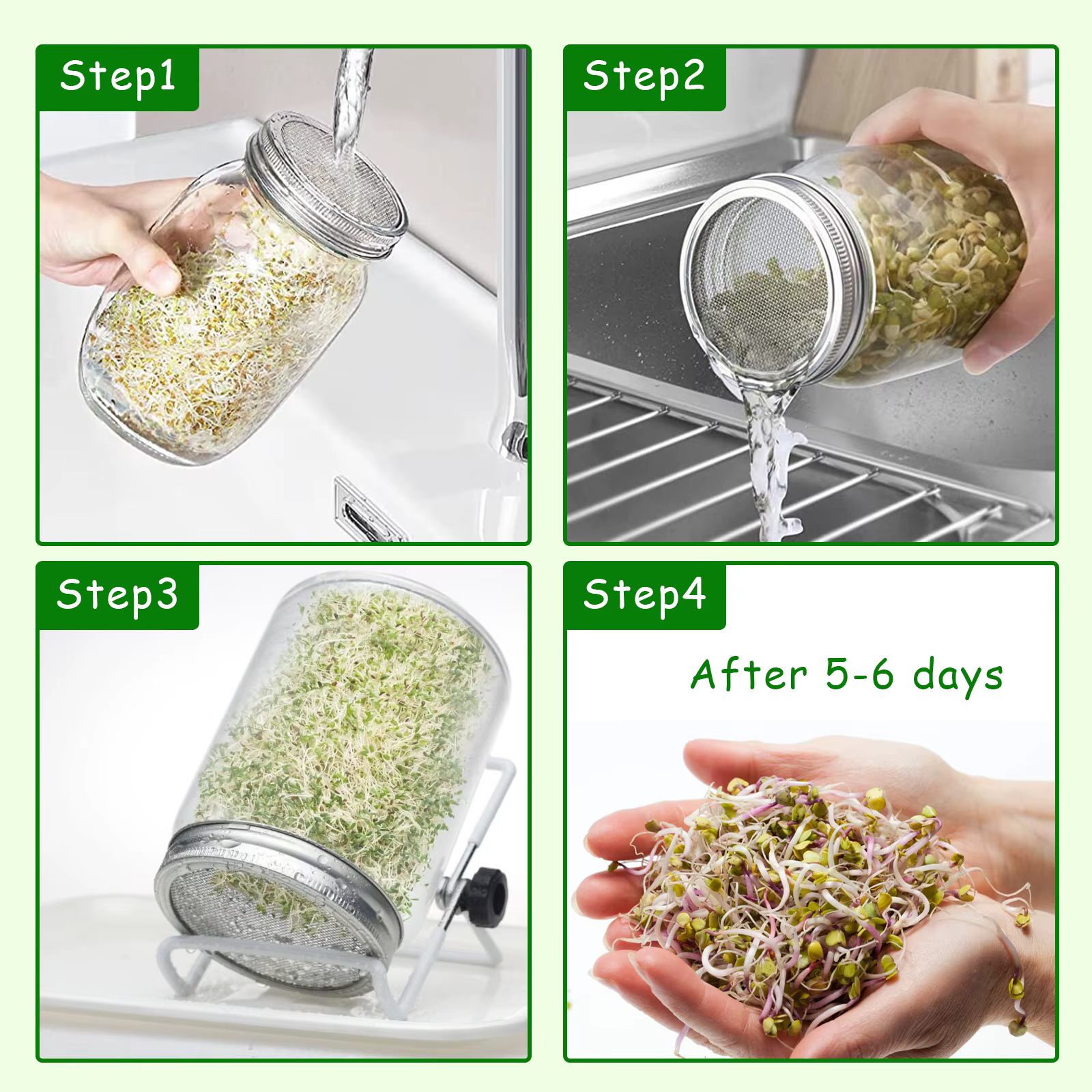 Kit de pot de germination de graines, Kit de culture de germes de haricots en verre Durable avec cou