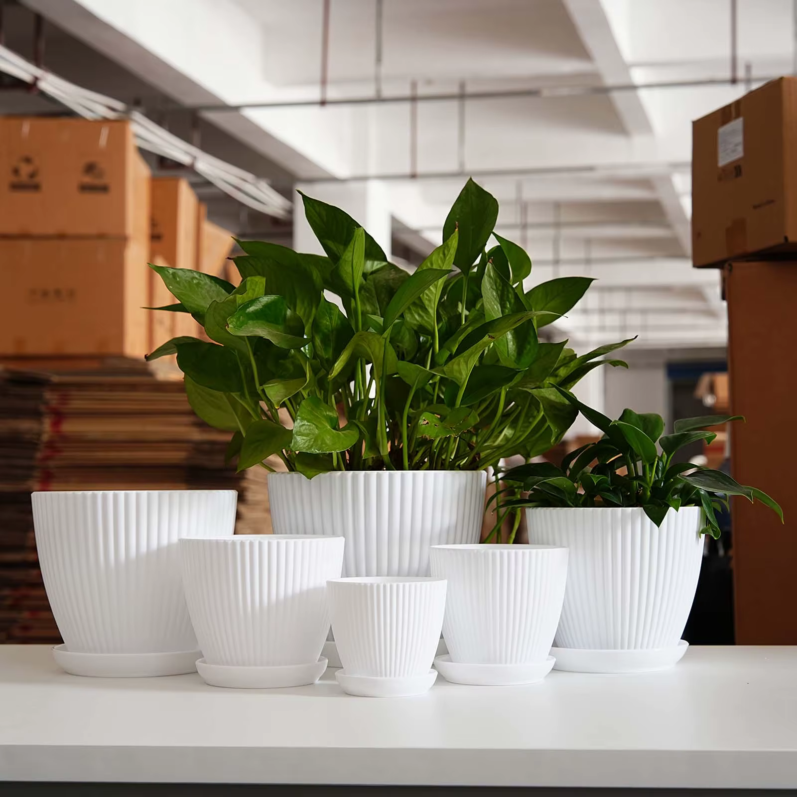 Pot de fleurs à rayures verticales en plastique épaissi avec soucoupe de drainage, petit pot de jard