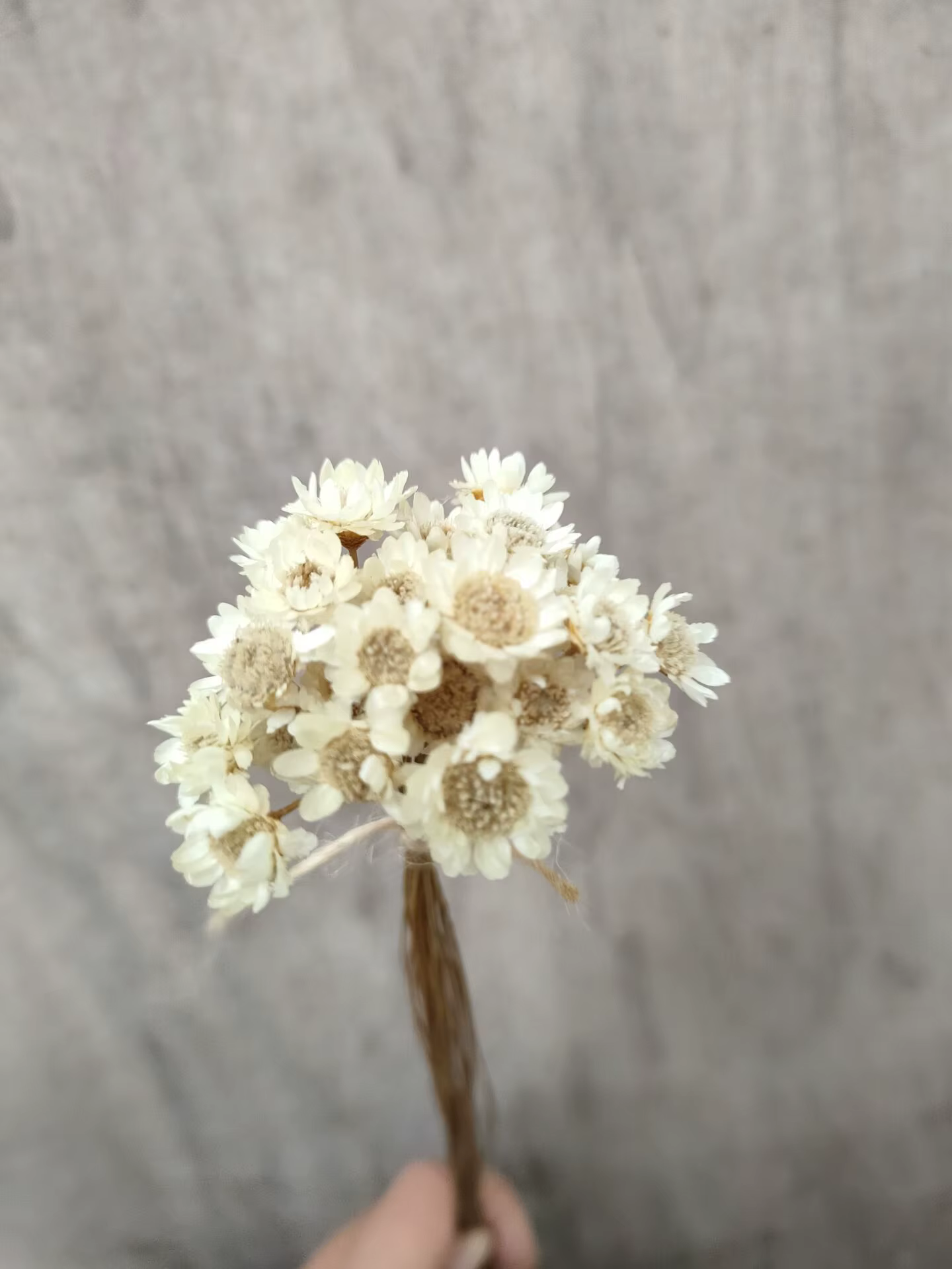 Mini bouquet de fleurs séchées artificielles, 30 pièces, fausses fleurs, pour un mariage, pour décor