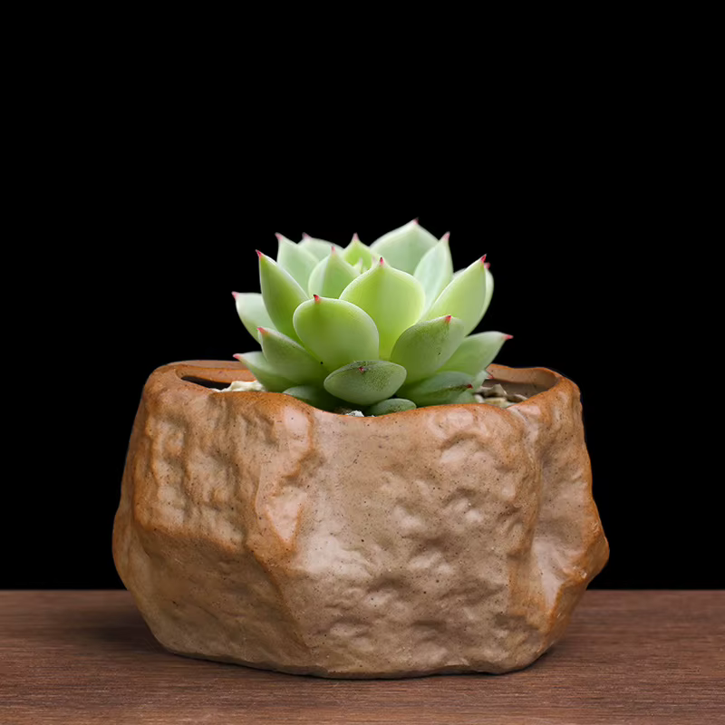 Pot Succulent en céramique résistant à l'usure en forme de pierre Cactus succulent Miniature bonsaï