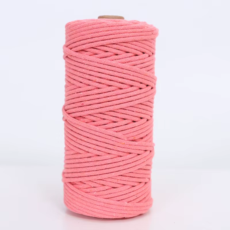 Cordon en macramé de 100 m, 3 mm/4 mm, 100 % coton, pour la fabrication de suspensions de plantes fa
