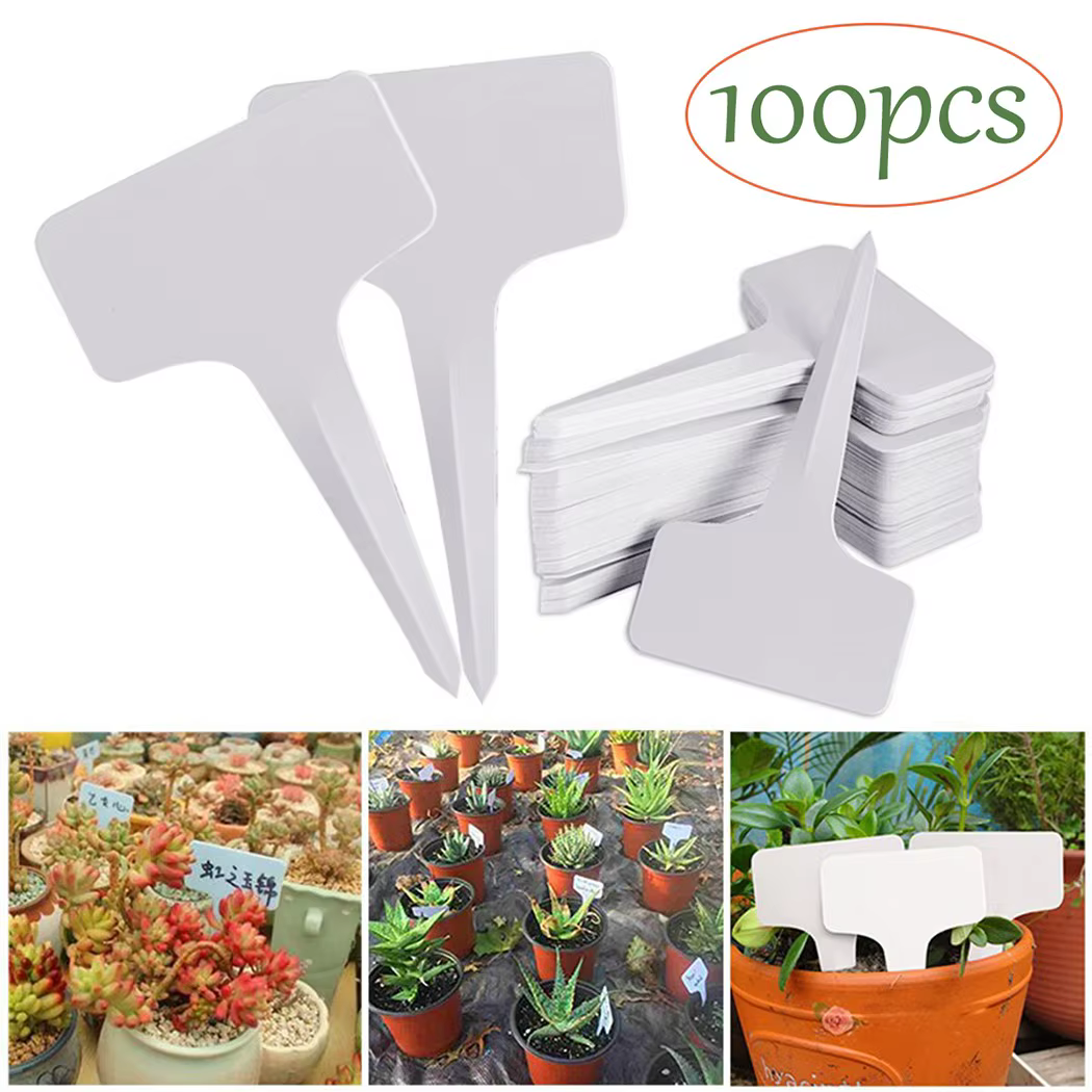 Étiquettes de jardin étanches pour plantes, 100 pièces, Classification, panneau de tri, billet, plaq