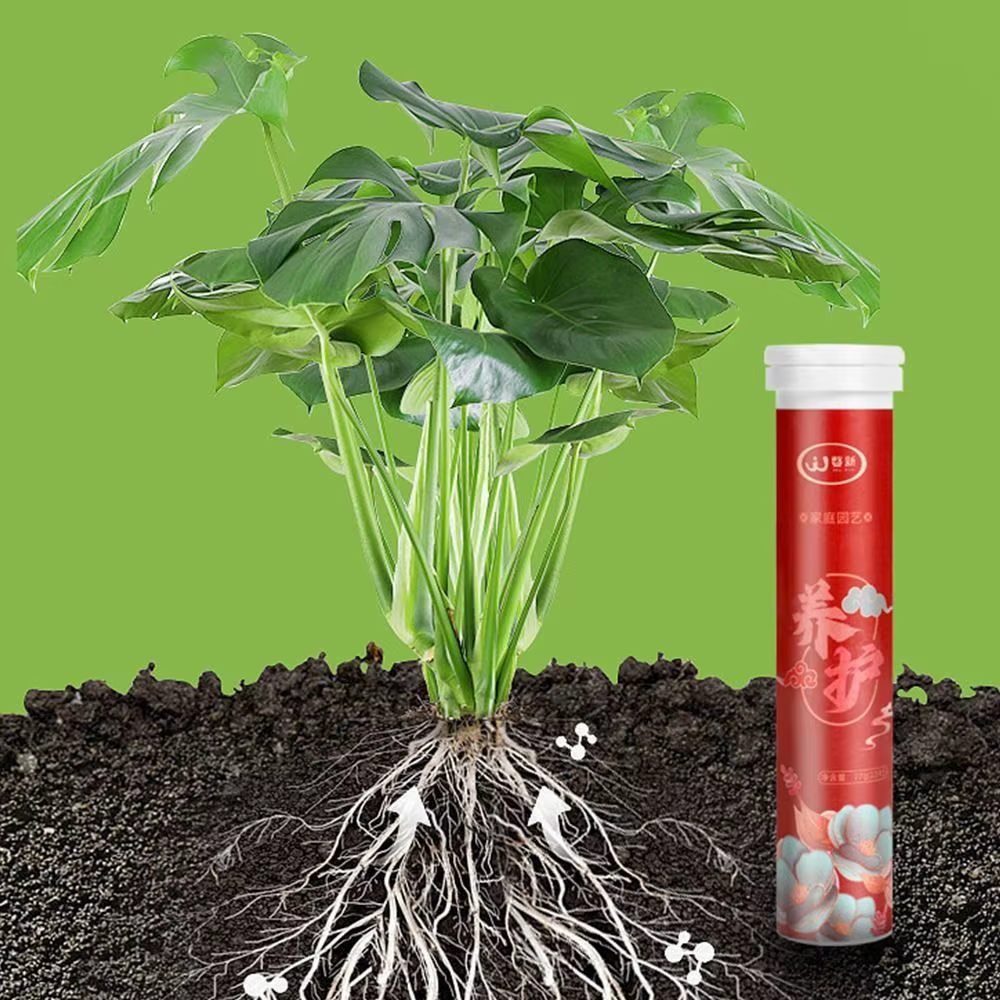 Engrais organique universel au phosphore, potassium, comprimé à libération lente, pour la croissance