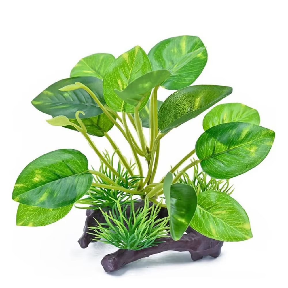 Petites plantes aquatiques artificielles en plastique vert pour aquarium, simulation de plantes sous
