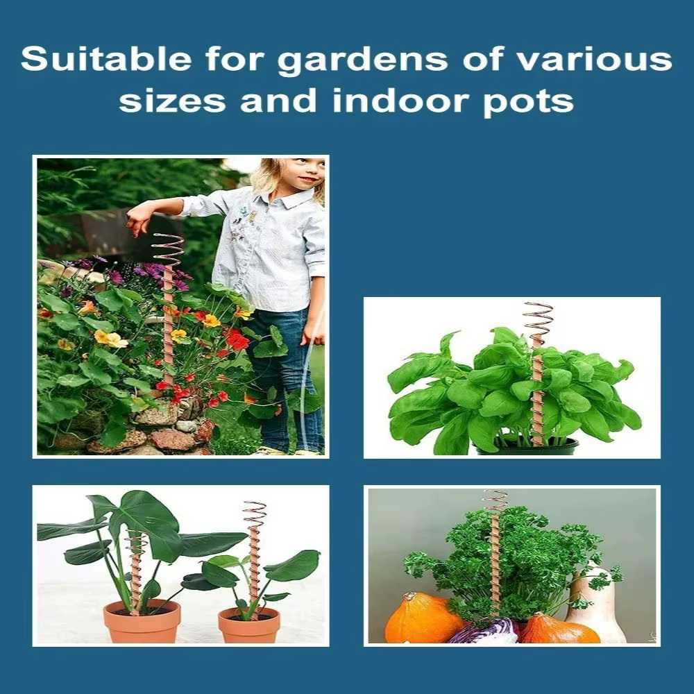 Piquets de plantes d'électro-culture bonsaï en cuivre, fil de bobine en bois, nouvelle bobine de cui
