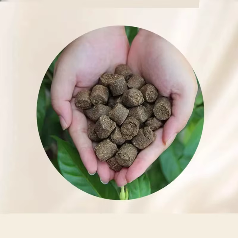 Engrais en Jade, pin bonsaï et cyprès, engrais spécial à libération lente biologique à Long terme, e