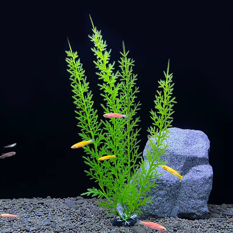 Plantes artificielles d'aquarium, décoration d'aquarium, aménagement paysager, ornements d'herbe aqu