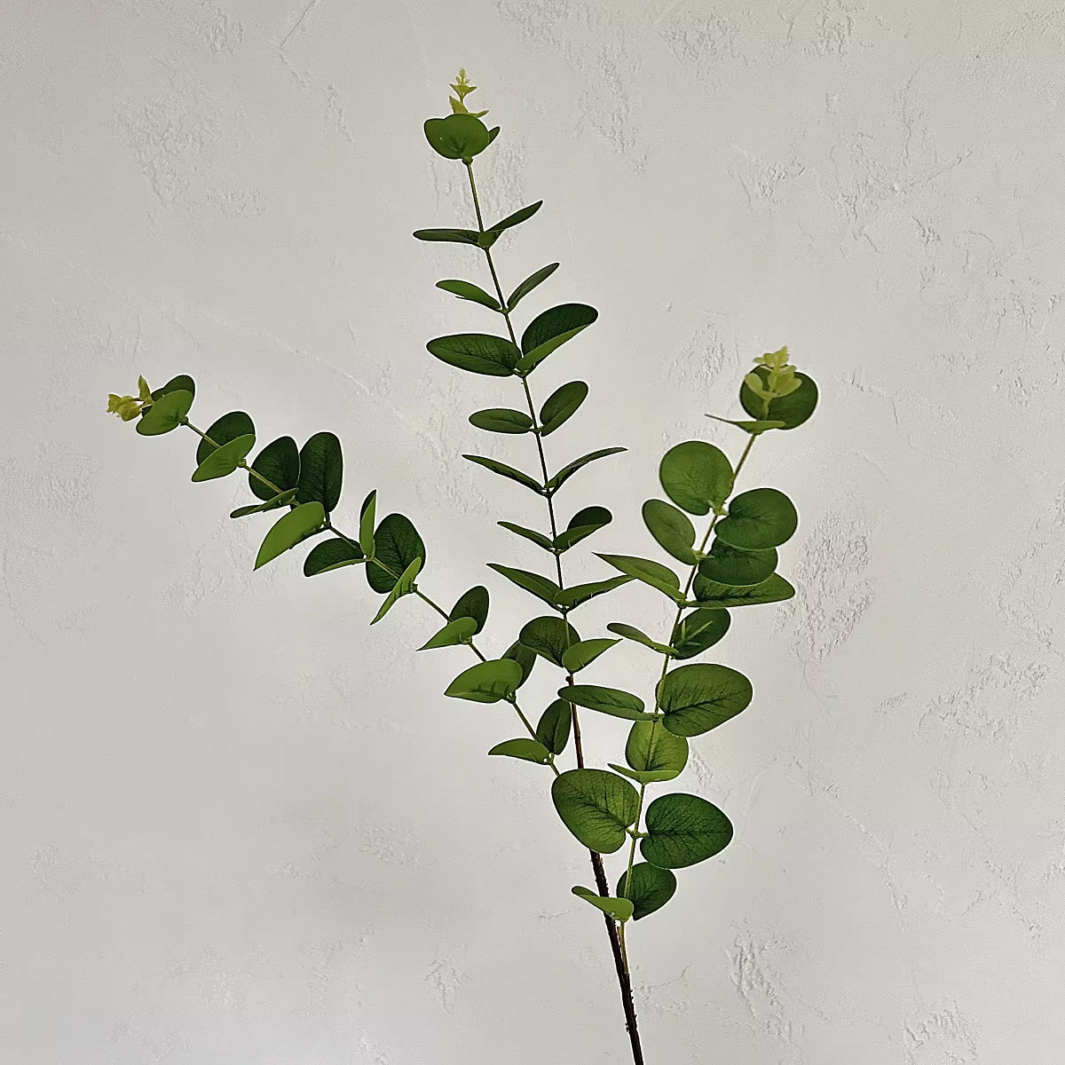 Cuir chevelu d'eucalyptus à 3 fourcommuniste, impression 3D, argent, plante verte, mariage, maison, 