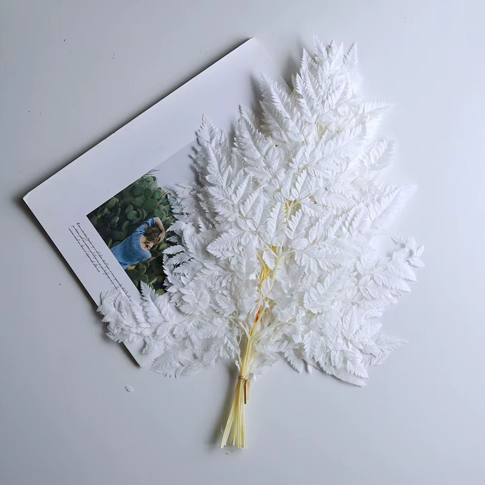 Feuille de fougère alpine, fleur préservée, grande branche, fleur, bricolage, fleur immortelle, spéc