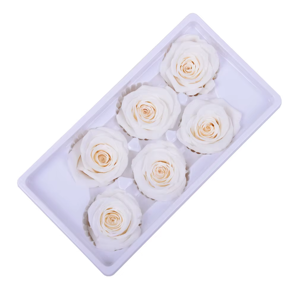 6 pièces/boîte fleurs conservées de haute qualité Roses immortelles 5-6CM de diamètre cadeau de noël