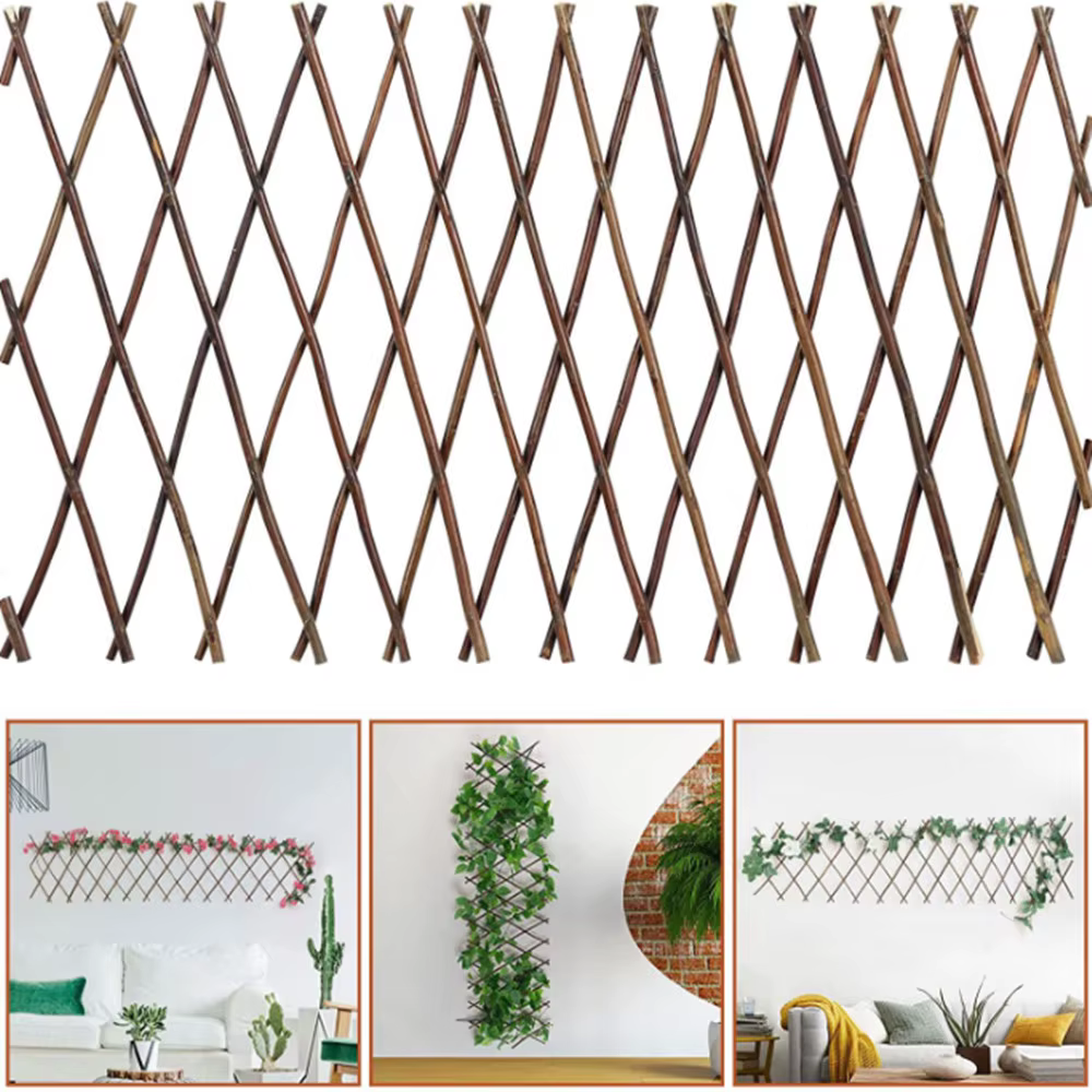 Treillis extensibles pour plantes grimpantes, écran de clôture en treillis, clôture en saule pour Su